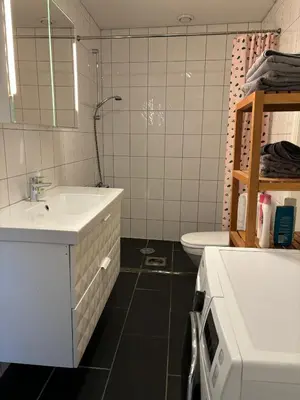 a bathroom with a sink and a toilet at Retro Apartment in Bergen