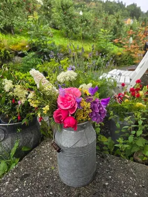 a gray bucket filled with flowers in a garden at Casa Grend in Kvam