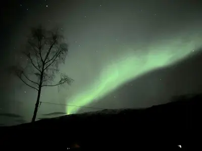 an aurora in the sky with a tree in the foreground at Countryside Cabin With Jacuzzi Near Stryn in Sølberg