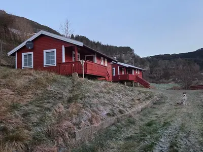 a dog standing in front of a red house at Vassel gård in Herand