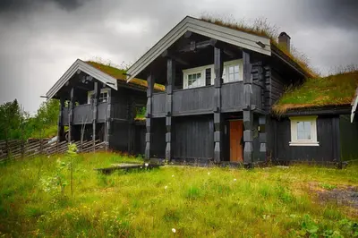 a house with a grass roof on top of a field at Peaceful Cabin Close To Beitostølen Center&Nature in Beitostøl
