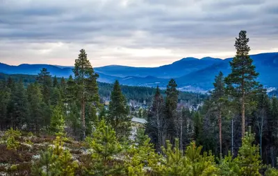 a view of a forest with mountains in the background at 4 Bedroom Gorgeous Home In Koppang in Koppang