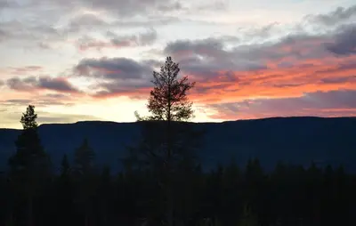 a sunset in the mountains with a tree in the foreground at 4 Bedroom Gorgeous Home In Koppang in Koppang