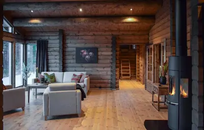 a living room with a couch and a fireplace at Amazing Home In Koppang in Koppang