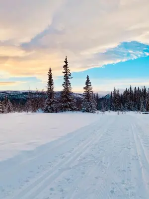 a snow covered field with trees in the distance at Beitobygda Getaway ,Nature And Luxury in Beitostøl