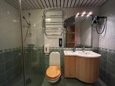 a bathroom with a toilet and a sink and a shower at Sognefjord Gjesteheim in Vangsnes