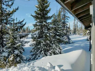 a group of trees are covered in snow at Cozy Modern Cabin Near Sjusjøen in Mesnali