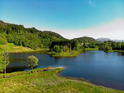 a lake with a tree in the middle at Modern And Rustic Cabin With Fjord View In Samnanger in Årland
