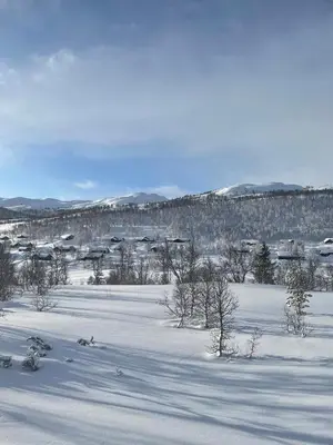 a snowy field with trees and houses in the distance at Cosy Holiday Home With Stunning Views In Rauland in Rauland