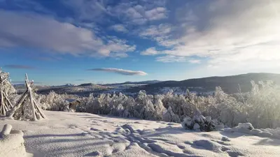 a snow covered hillside with trees and a sky at Idyllic Log Cabin With Ski-Inout At Dagalifjell in Uvdal