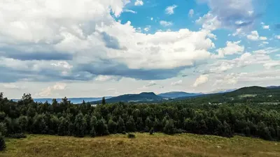 an aerial view of a forest of trees at Idyllic Log Cabin With Ski-Inout At Dagalifjell in Uvdal