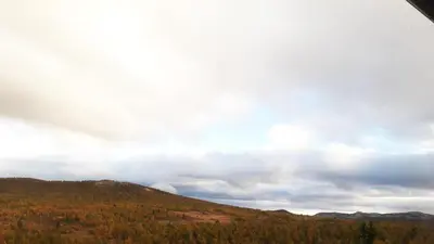 a view of a hill with trees on it at Idyllic Log Cabin With Ski-Inout At Dagalifjell in Uvdal