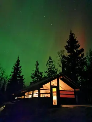 a cabin under a green sky with trees at Ål Cabin With Panoramic Views in Favang