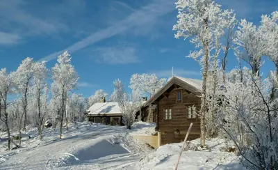 a log cabin in the snow with trees at Large Log Cabin, Ski Fun Near Dagali in Dagali