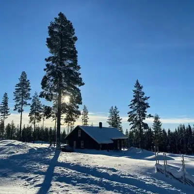 Beautiful Forest Cabin Near Ski Trails