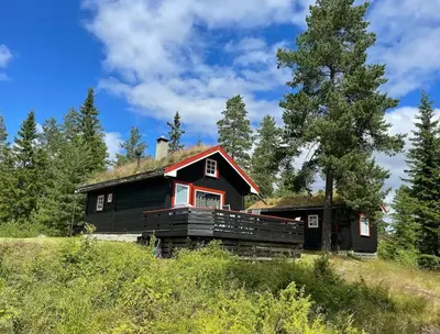 a house with a grass roof on a hill at Enjoy Traditional, Norwegian Cabin Coziness in Traut