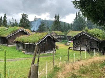 a group of wooden buildings with grass roofs at Modern Cabin With View In Rauland in Rauland