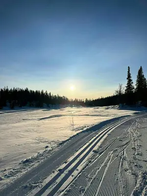 a snowy road with tire tracks in the snow at Modern Family Cabin At Vegglifjell in Veggli