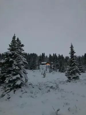 a house in the middle of a snowy field with trees at Peaceful Cabin By Rødungen in Ål