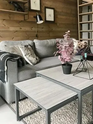 a living room with a couch and a coffee table at Enjoy Simple Cabin Life In Nature in Kongsberg