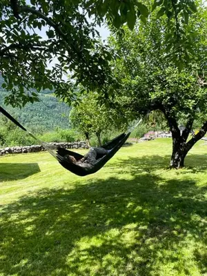 a person sleeping in a hammock in a tree at Fantastic Charming Cabin By Tinnsjøen in Austbygdi