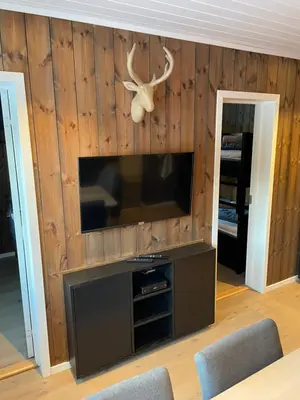a living room with a flat screen tv on a wooden wall at Hafjell Alpinlandsby Apartment 43 in Hafjell