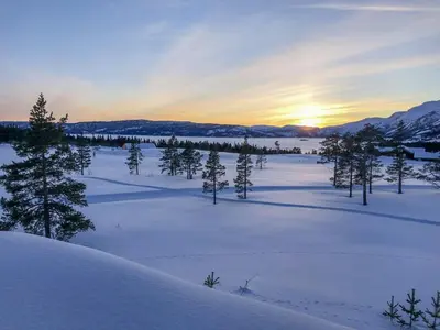 a snowy field with trees and the sunset in the background at High-Standard Cabin In Beautiful Rauland in Rauland