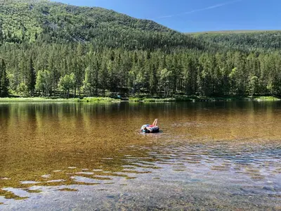 a person swimming in a lake in the mountains at Cabin With Great Fishing At Trysilfjellet in Jordet
