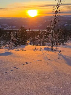 a winter sunset with footprints in the snow at Moderne hytte plass for 10 in Rendalen