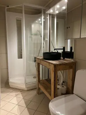a bathroom with a sink and a shower at Cabin with large outdoor area in Hamar