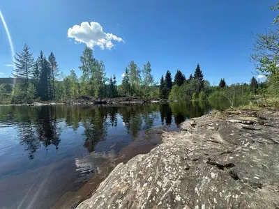 a view of a lake with trees on the shore at Turifoss Camping Cabin 2 in Svedjan