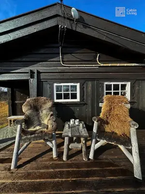 two animals sitting on a porch of a building at Cozy cabin near Geilo & Dagali terrace, grill, fireplace, view & WiFi in Hol