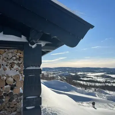 Chalet Skogshorn