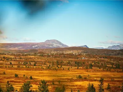 a field with trees and mountains in the background at Modern Mountain Cabin - 3 Bedrooms - Sleeps 7 in Torpo