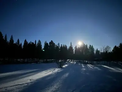 a snow covered field with the sun shining behind trees at Simple family cabin at Haugen, Femundsmarka in Elga