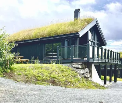 a building with a grass roof on top of it at New modern cabin in Beitostølen in Beitostøl