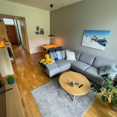 Cozy 1-bedroom in quiet Ilsvika