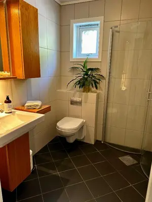 a bathroom with a toilet and a plant at Granåsen ski-VM in Trondheim