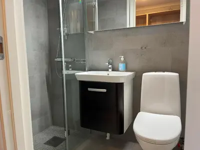 a bathroom with a toilet and a sink and a shower at Bitihorn fjelltind in Beitostøl