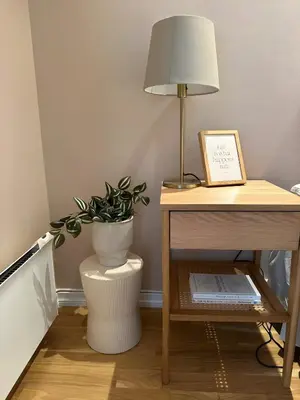 a table with a lamp and a potted plant on it at Modern and chic city apartment - Bergen City in Bergen