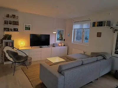 a living room with a couch and a flat screen tv at Romslig og pen leilighet - sentral beliggenhet in Charlottenlund