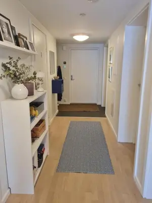 a hallway with a white door and a rug at Romslig og pen leilighet - sentral beliggenhet in Charlottenlund