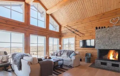 a living room with couches and a fireplace at Stunninng Home In Rauland With Sauna in Rauland