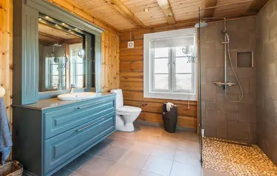 a bathroom with a toilet and a sink and a shower at Stunninng Home In Rauland With Sauna in Rauland