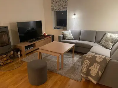 a living room with a couch and a table and a tv at Apartment Sjusjøen in Sjusjøen