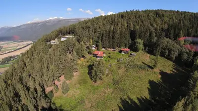 a house on top of a hill with trees at FourGotten in Sel