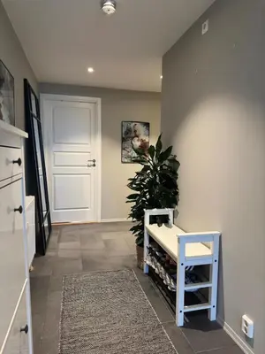 a hallway with a blue bench and a plant at Spacious apartment with a great view and parking in Trondheim