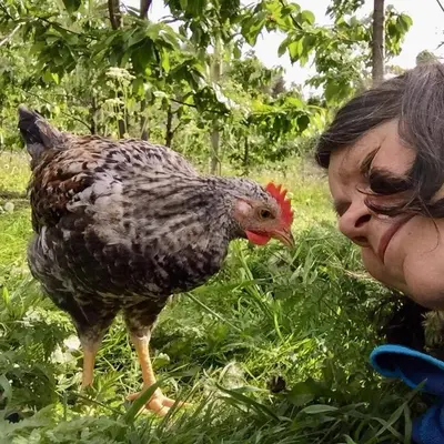 a woman is looking at a chicken in the grass at Cabin 