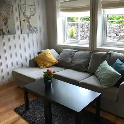 Bright and nice apartment