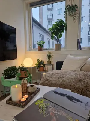a living room with a bed and a window at Cozy condo near Bryggen Full kitchen Elevator in Bergen